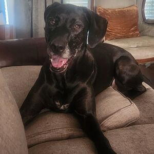 Meet your Posher, Mary